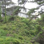 Foundation Underpinning — Oregon Coast - Featured Image